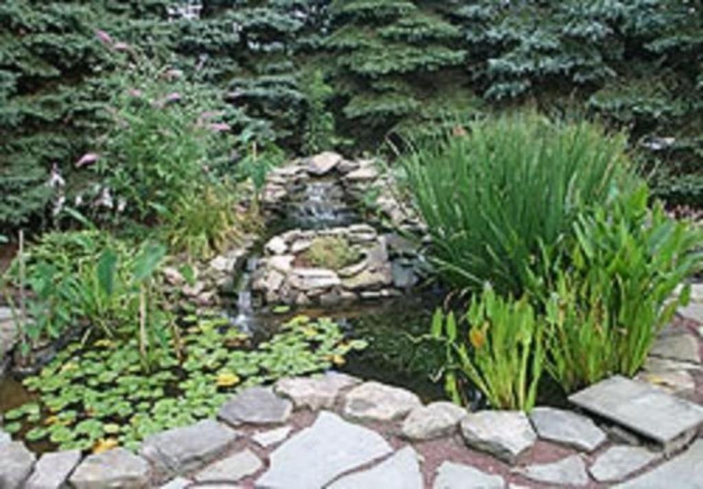 Brownstone Colonial Inn Reinholds Экстерьер фото